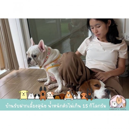 รับฝากเลี้ยงสุนัข สมุทรปราการ