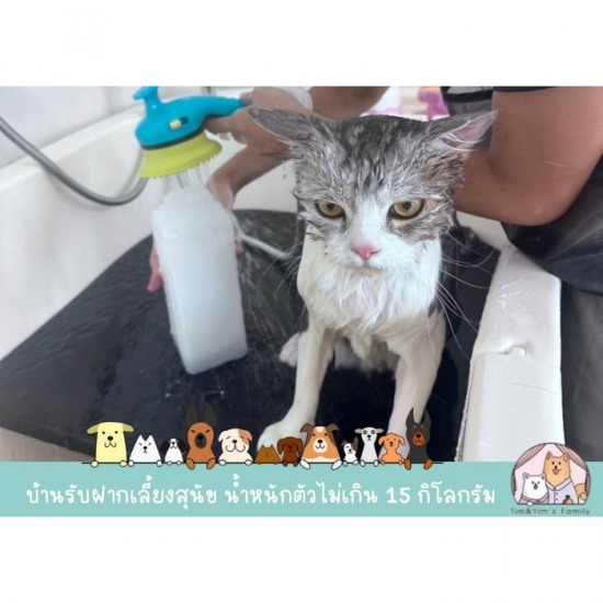 ร้านอาบน้ำแมว สมุทรปราการ ร้านอาบน้ำแมว สมุทรปราการ