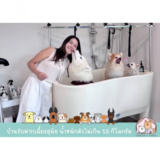 ร้านอาบน้ำตัดขนสุนัข สมุทรปราการ ร้านอาบน้ำตัดขนสุนัข สมุทรปราการ