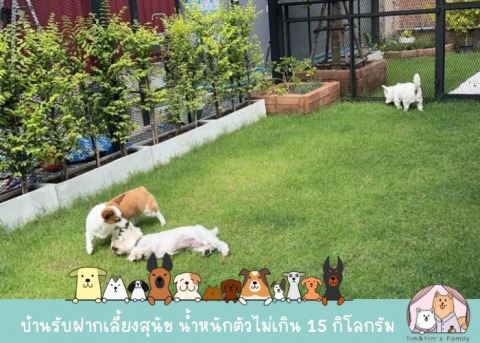 รับฝากเลี้ยงสุนัขมีพื้นที่วิ่งเล่น