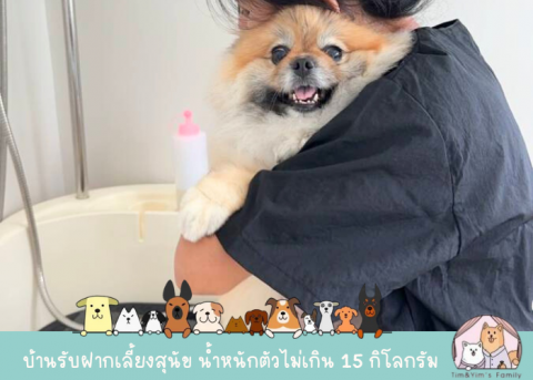 อาบน้ำตัดขนสุนัข เทพารักษ์