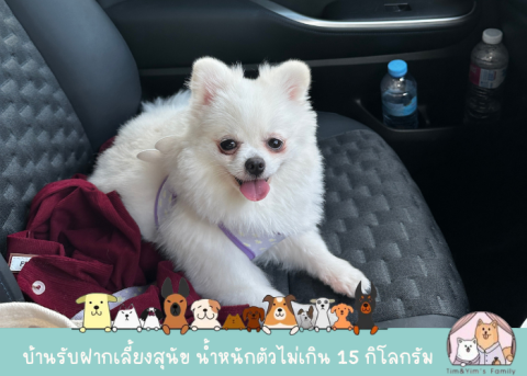 บริการพาสัตว์เลี้ยงไปหาหมอ