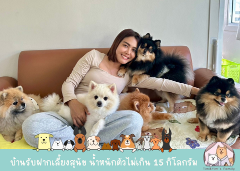รับฝากเลี้ยงสุนัขน้ำหนักไม่เกิน 15 กิโลกรัม