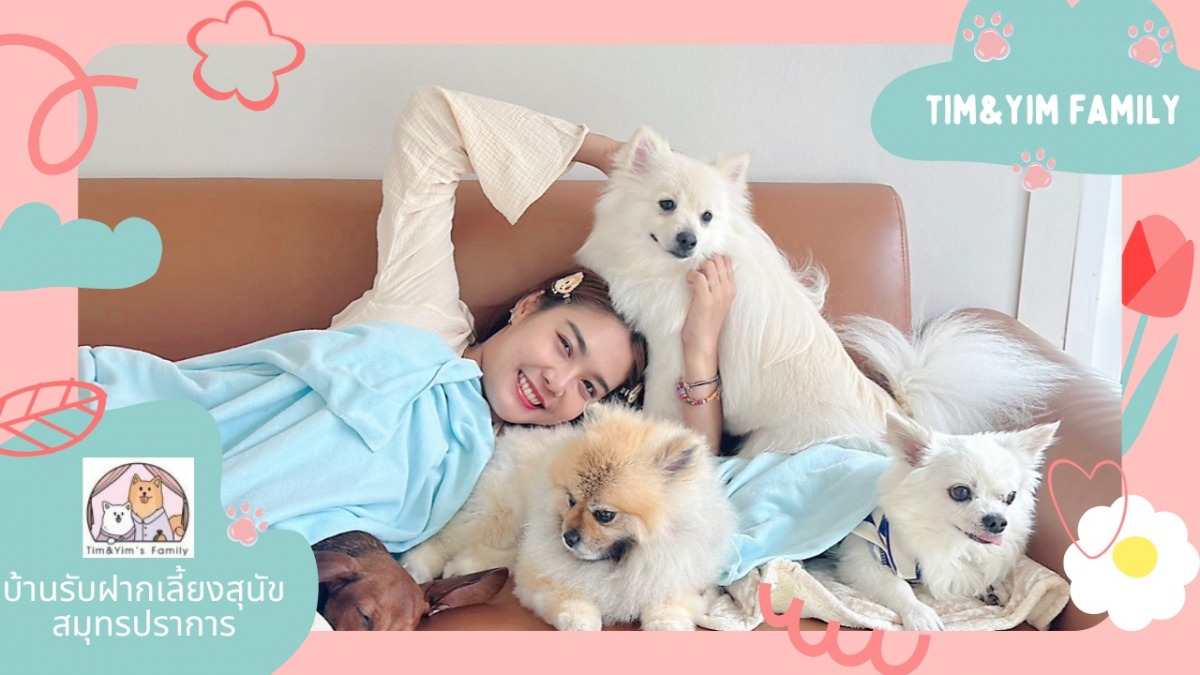 รับฝากเลี้ยงสุนัขไม่ขังกรง