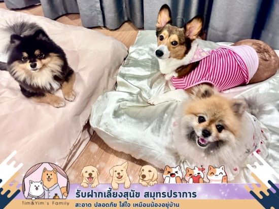 บ้านรับฝากสัตว์เลี้ยง