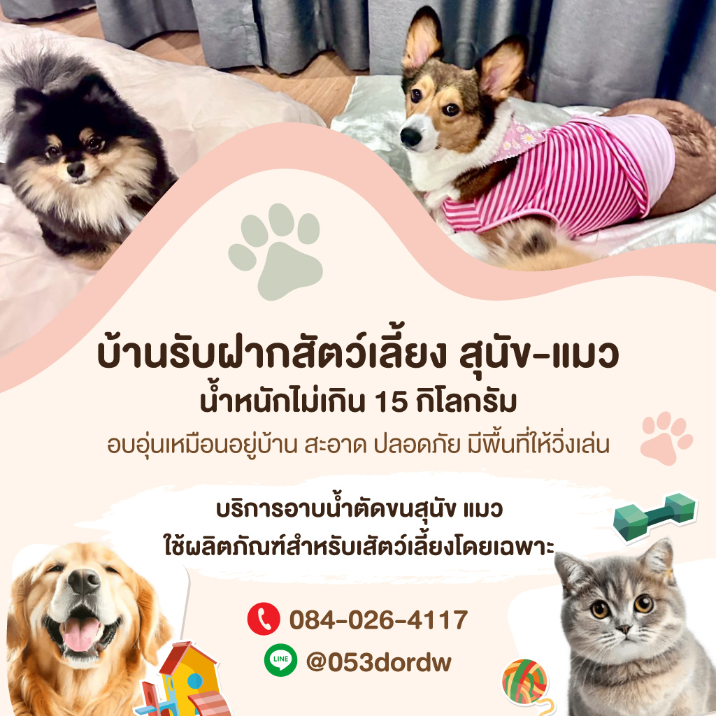 รับฝากเลี้ยงสุนัข สมุทรปราการ Tim&Yim Family
